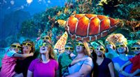 Sea World inaugura hoje a atração Turtle Trek