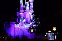 Confira mais flashes do Natal na Disney World