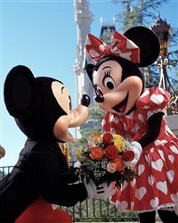 Disney World comemora Dia dos Namorados