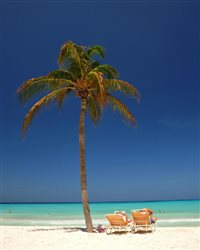 Aruba registra alta de 10,55% de brasileiros em 2013