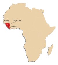 Ebola: Associação de Turismo da África envia comunicado