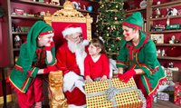Busch Gardens anuncia programação de Natal; confira