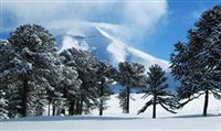 Corralco Mountain Resort, no Chile, anuncia descontos 