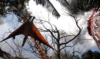 Zoológico de SP recebe exposição O Mundo dos Dinossauros