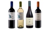 Vinhos Yali (Chile) apresentam nova rotulagem