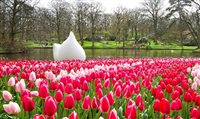 Conheça o maior parque de flores do mundo, na Holanda