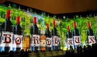 Conheça Bourdeaux, a capital mundial do vinho