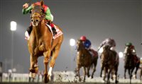 Conheça o evento mais rico das corridas de cavalo, em Dubai