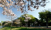 Ibirapuera é eleito melhor parque urbano do mundo