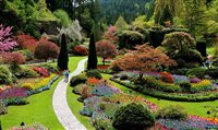 Conheça 10 jardins deslumbrantes pelo mundo