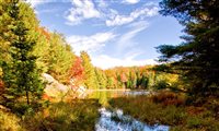 Curta o outono nos parques de Ontário em 10 dicas