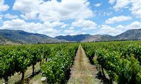 Chile: Turismo cresce mais rápido que exportação de vinho