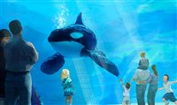 Sea World recorre à proibição de criar orcas em cativeiro