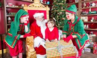 Busch Gardens Tampa inicia comemoração de Natal