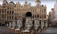 Gatos prestam homenagem a Bruxelas em vídeo; veja