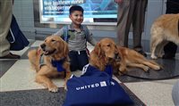 United oferece cachorros para desestressar passageiros