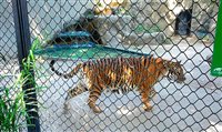 Ibama fecha Zoológico do Rio e multa Rio Zoo