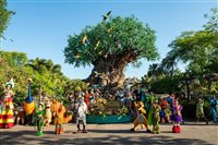 Quando visitar os parques temáticos da Flórida? E o que mais motiva os brasileiros?