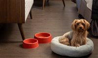 Grupo Wish expande sistema dog friendly para toda a rede