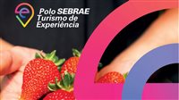Sebrae fortalece o Polo de Turismo de Experiência como referência nacional do setor
