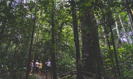 MTur passa a integrar plano de desmatamento da Amazônia