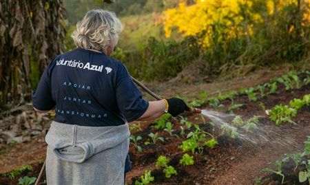 Azul alcança marca de 3,7 mil voluntários em ações sociais