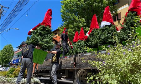 Canela (RS) inicia decoração para festas de fim de ano