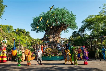 Quando visitar os parques tem&aacute;ticos da Fl&oacute;rida? E o que mais motiva os brasileiros?