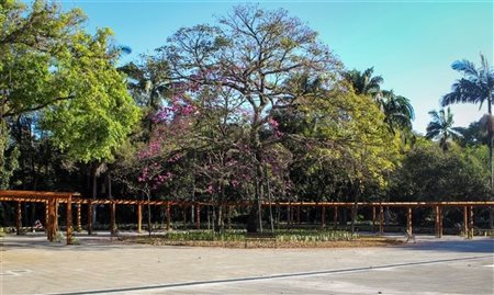 Urbia entrega reforma da Praça Burle Marx, no Parque Ibirapuera (SP)