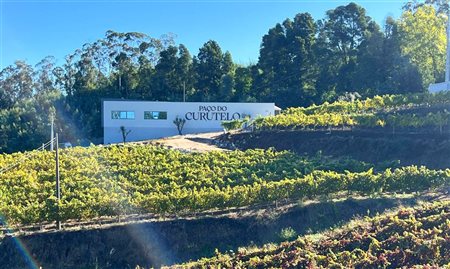 Vila Galé inaugura adega na região dos Vinhos Verdes, em Portugal