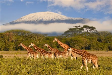 TTWhub consolida departamento especializado em destinos da &Aacute;frica