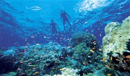 Corais brancos farão Austrália perder 1 mi de turistas