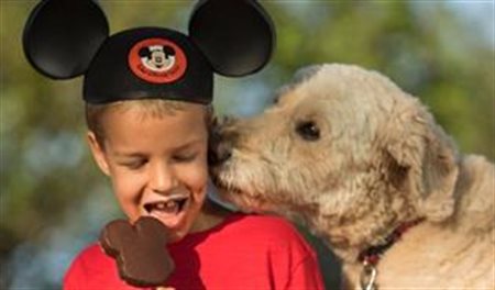 Walt Disney World começa a aceitar cães em seus hotéis
