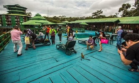 MTur credencia 43 agências de viagens para receber turistas chineses MTur credencia 43 agências de viagens para receber turistas chineses