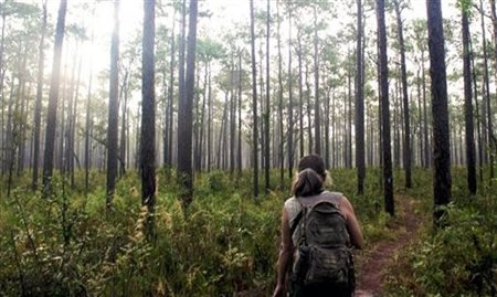 Visit Florida destaca passeios e destinos ecológicos pela região