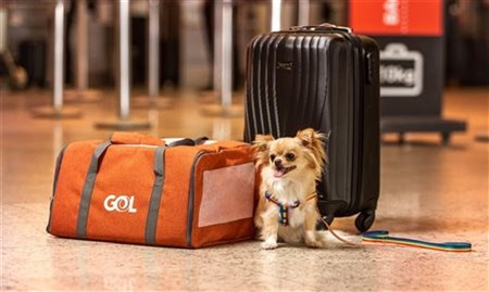 Clientes Smiles podem usar milhas para transportar pets em voos Gol