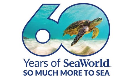 60 anos: SeaWorld anuncia festas e novidades nos três parques