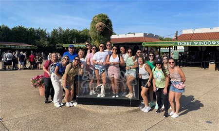 HotelDO leva 19 agentes de viagens para famtour em Orlando